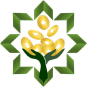 Logo Feng Shui Doble Prosperidad