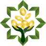 Logo Feng Shui Doble Prosperidad